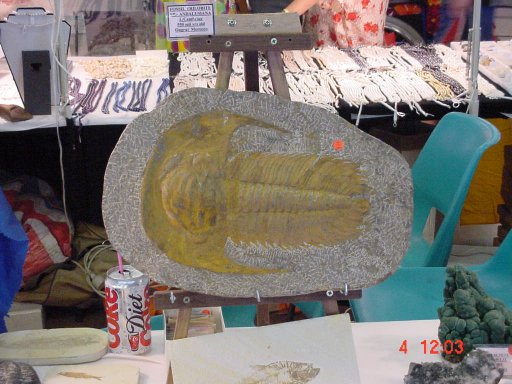 fossil fish